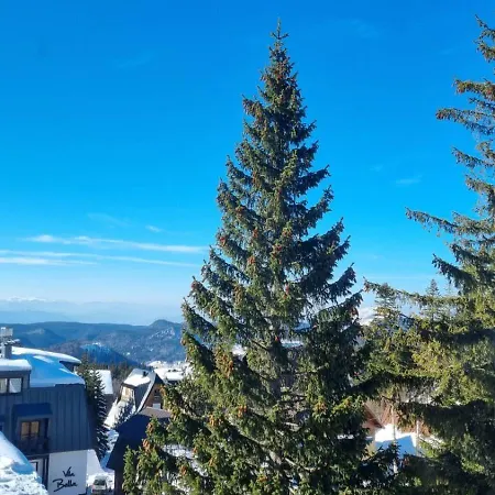 Jahor - Trifkovic * Jahorina